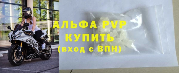 дживик Вяземский