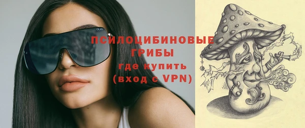 дживик Вяземский