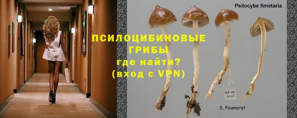 дживик Вяземский