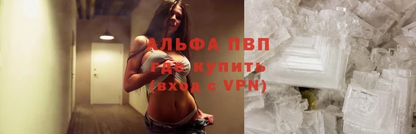 дживик Вяземский
