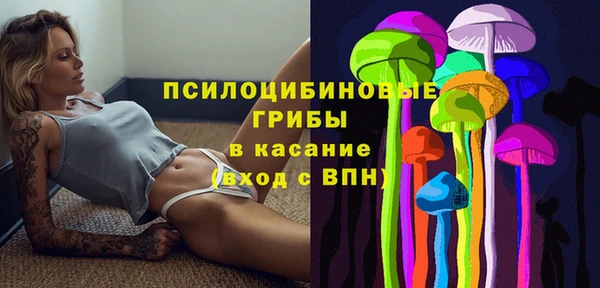 тгк Вязники
