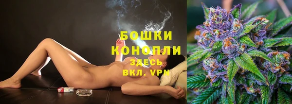 дживик Вяземский