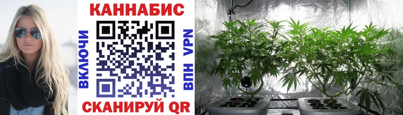 Каннабис конопля  Купить закладки  Суоярви 
